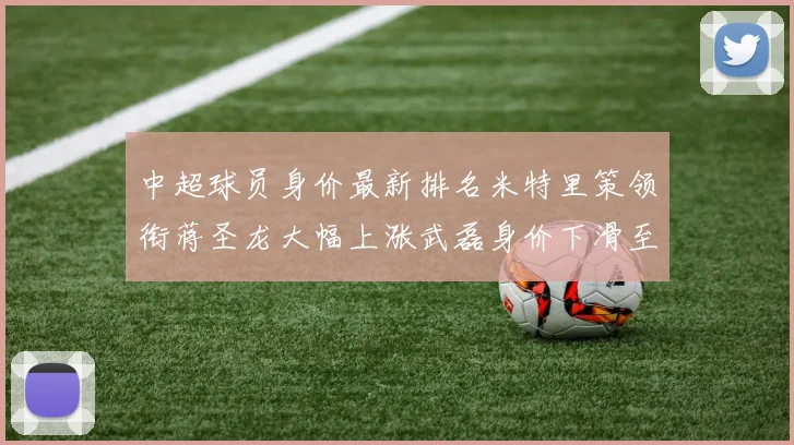 中超球员身价最新排名米特里策领衔蒋圣龙大幅上涨武磊身价下滑至50万